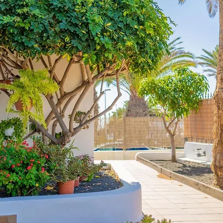 Apartment Isla De Lobos - Adults Only *